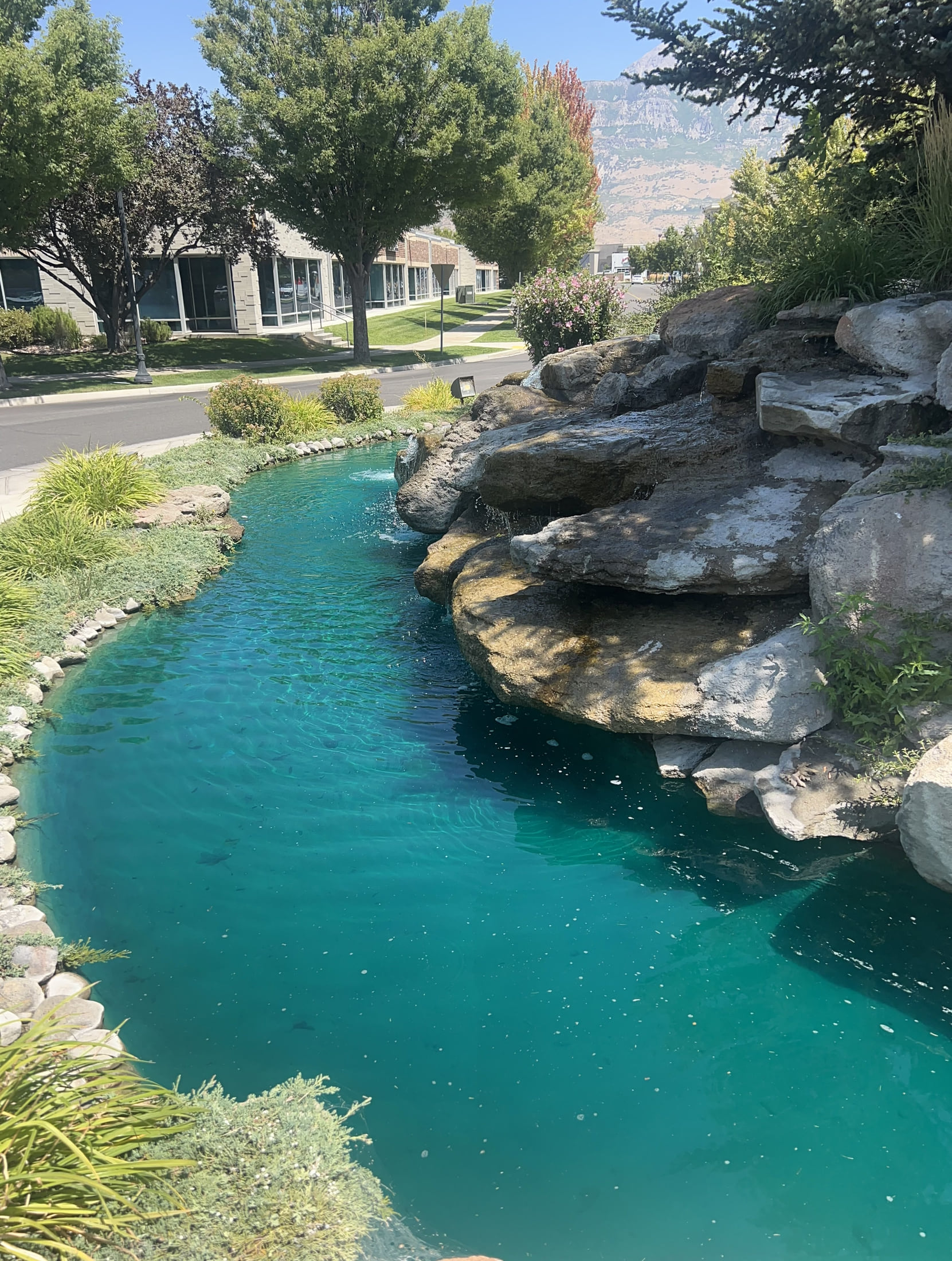 Salt Lake City Courtyard Pond