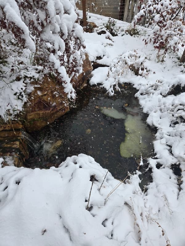 Water and ice in a rock-lined stream surrounded by heavy snow in Holladay
