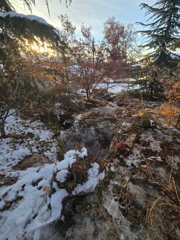View along the Holladay water feature among trees, rocks, and snow