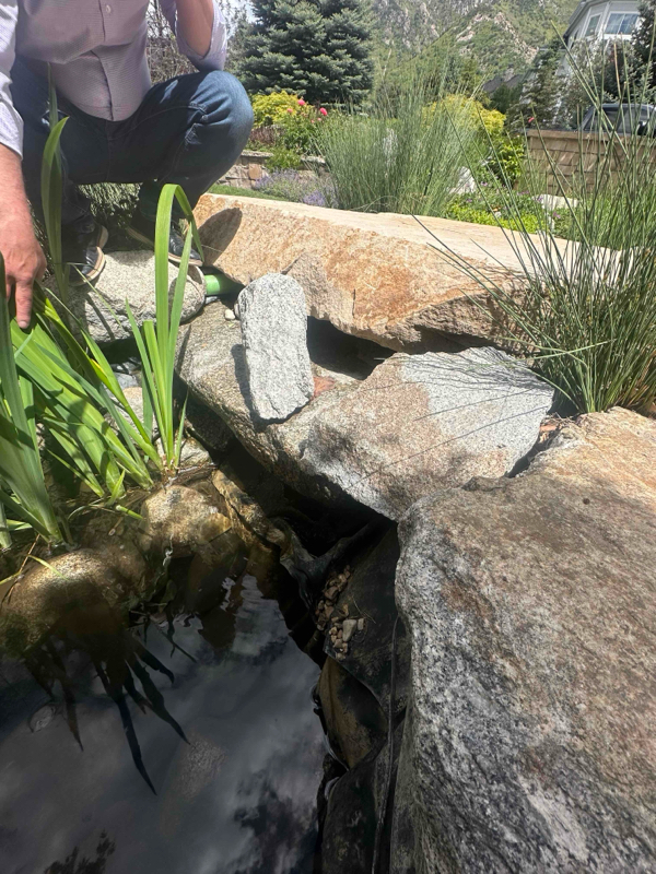Is My Pond Leaking or Evaporating? A Utah Troubleshooting Guide