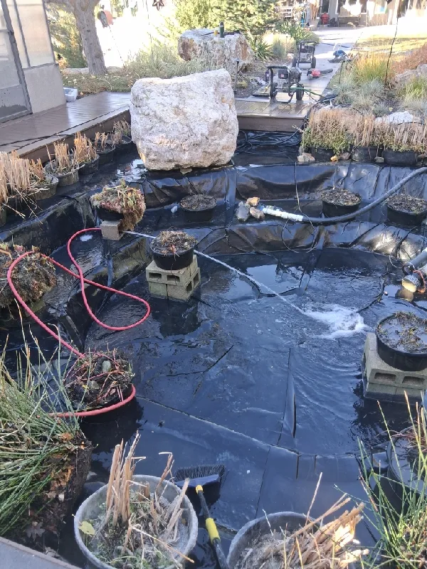 Professional pond cleaning service in Utah