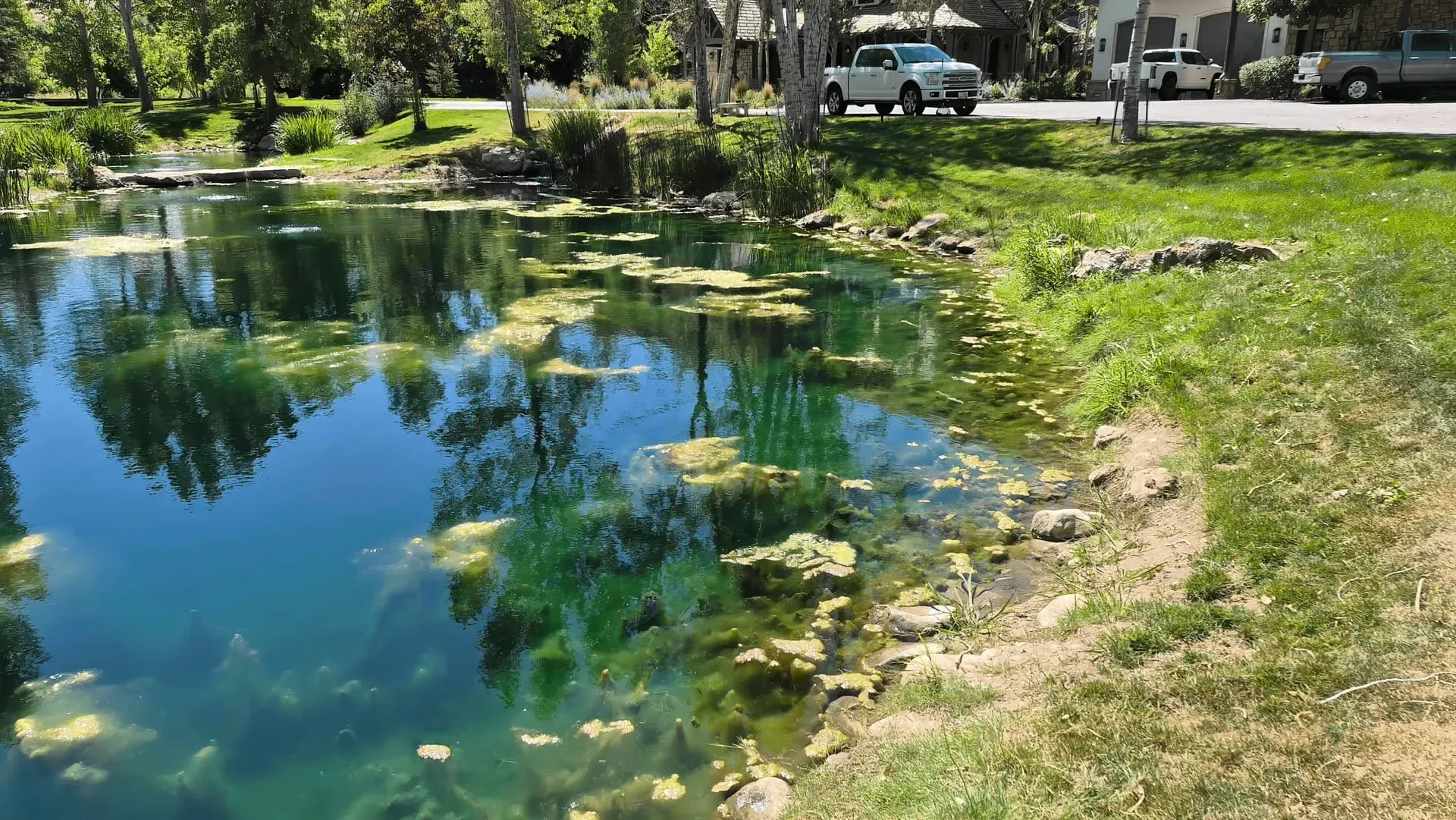 Pond and water garden with natural stone edging