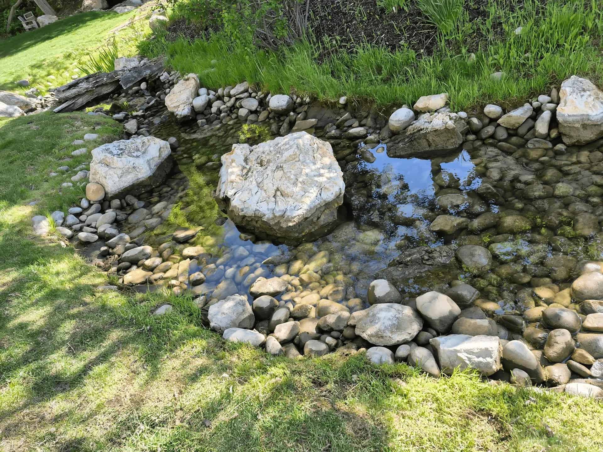 Floating Plants - Hero background image