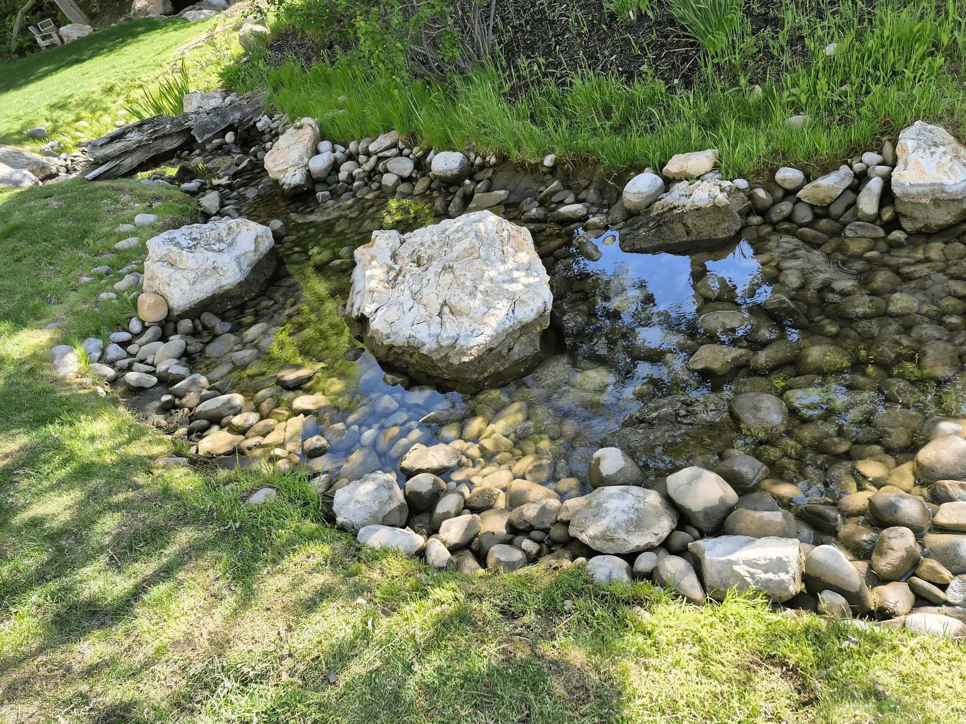 Floating Plants - Hero background image