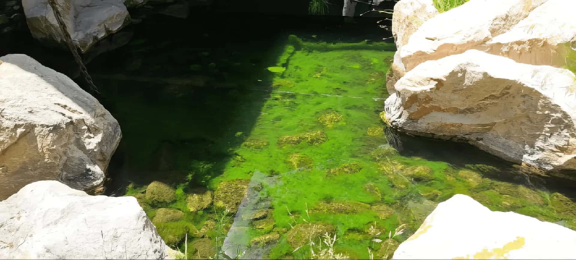 Professional commercial water feature projects