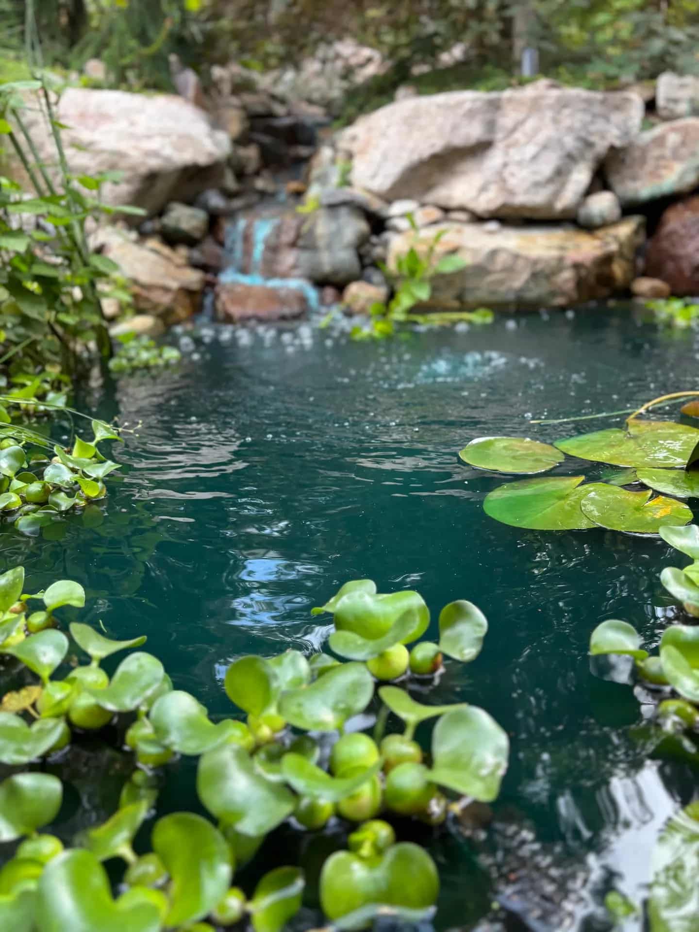 Pond Services in Utah - Hero background image