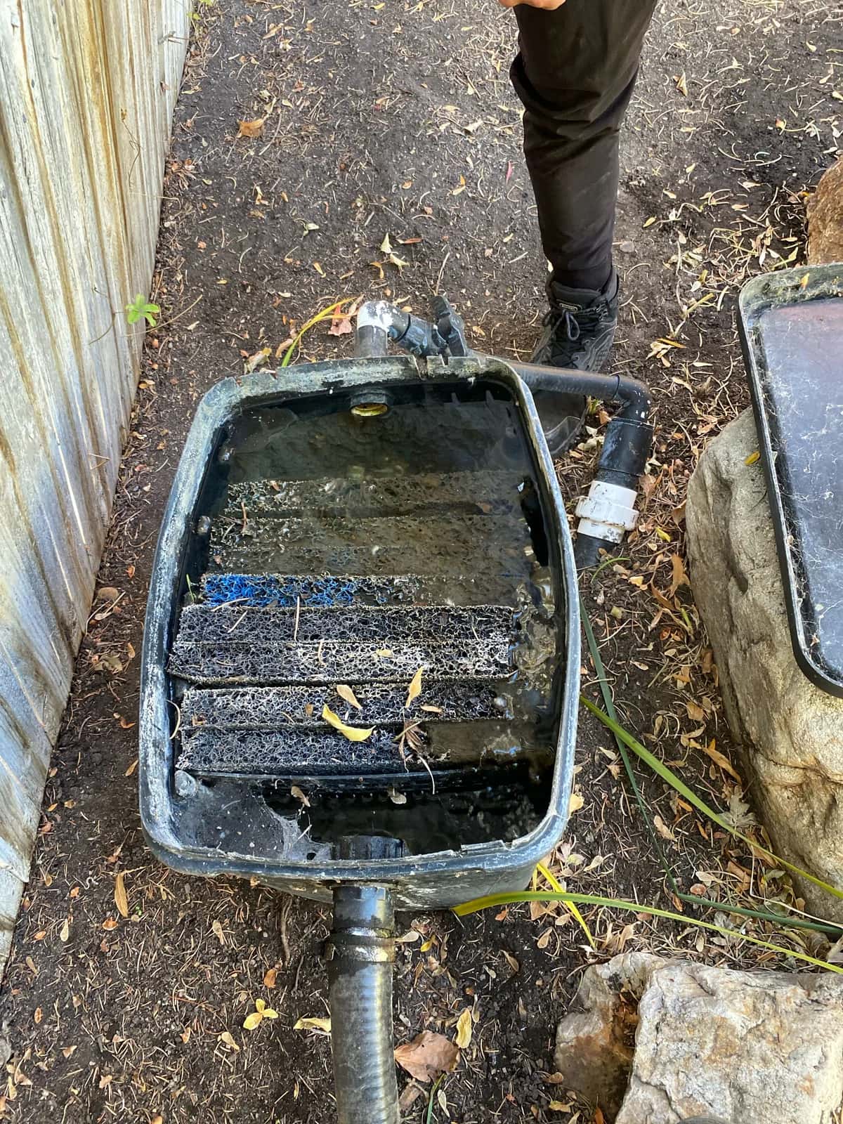 Skimmer and Filter Cleaning