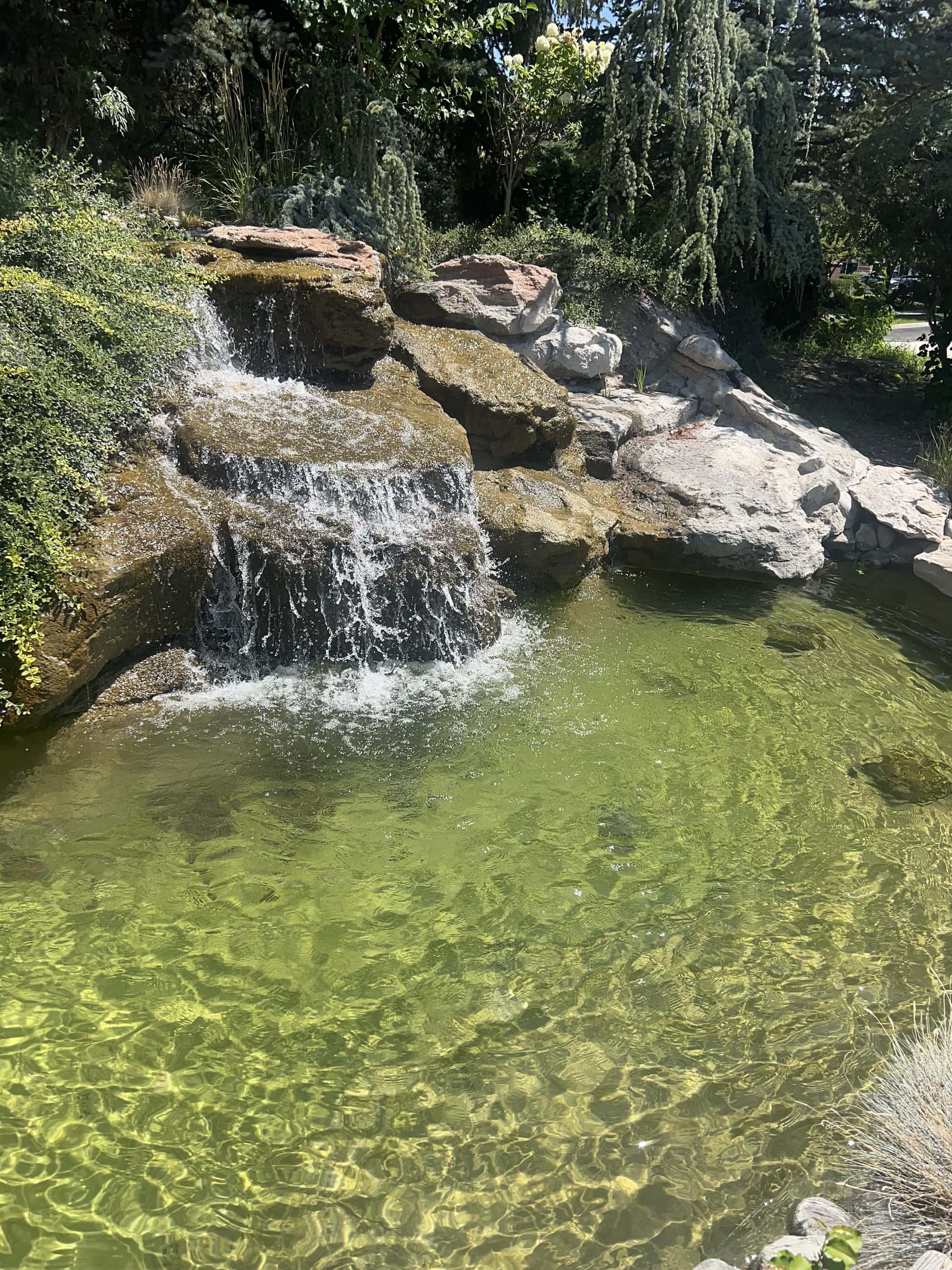 Water treatment transformation - before and after