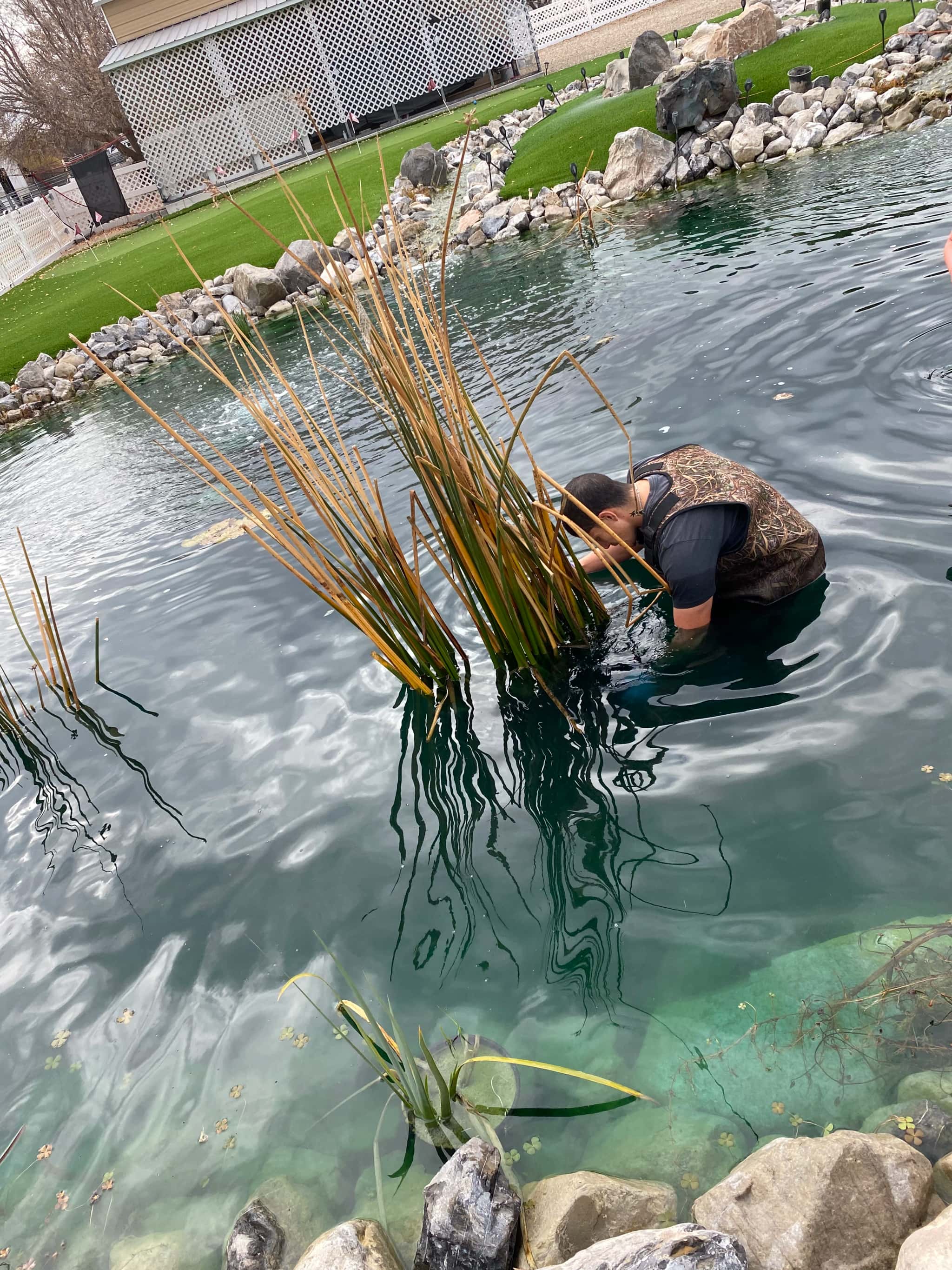 Pond Cleaning Services in Draper, Utah - Hero background image