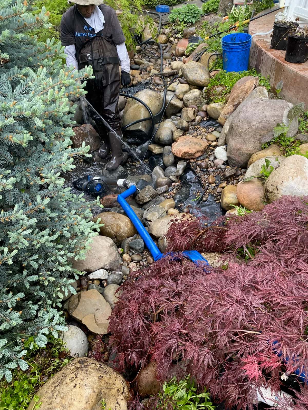 Drain Existing Pond Water