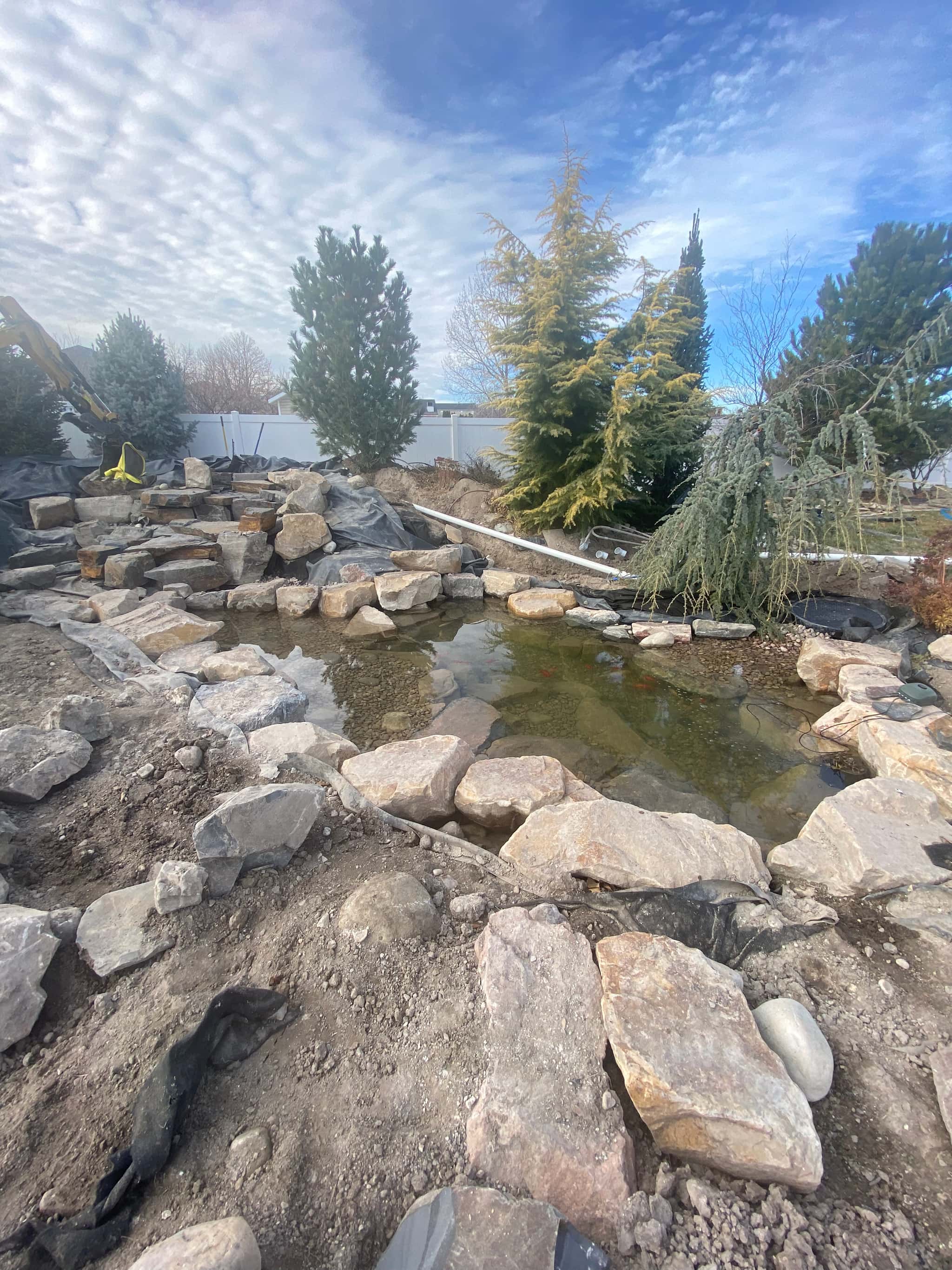 Ecosystem pond designed for wildlife habitat
