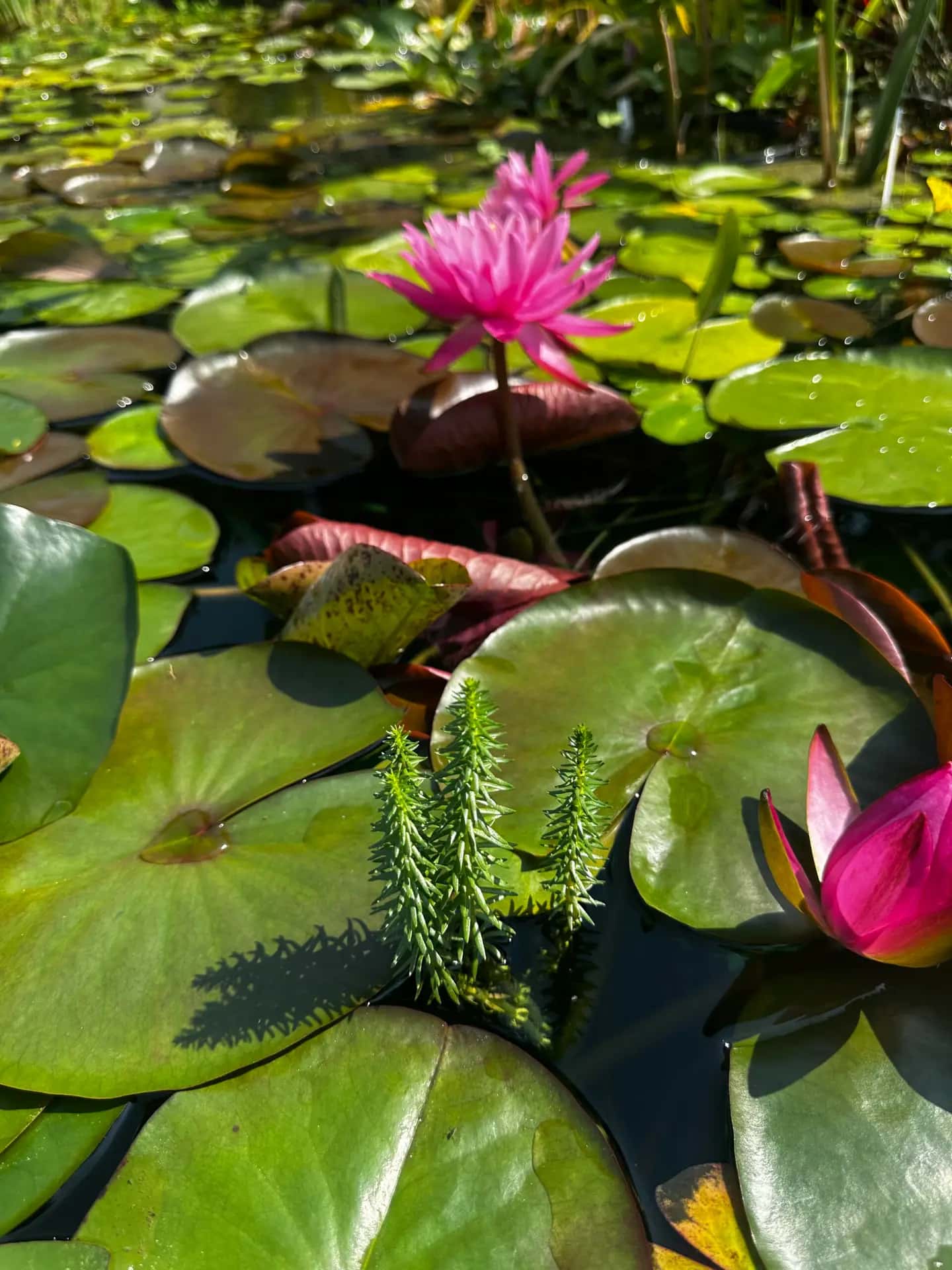 Request Your Estimate - Hero background image