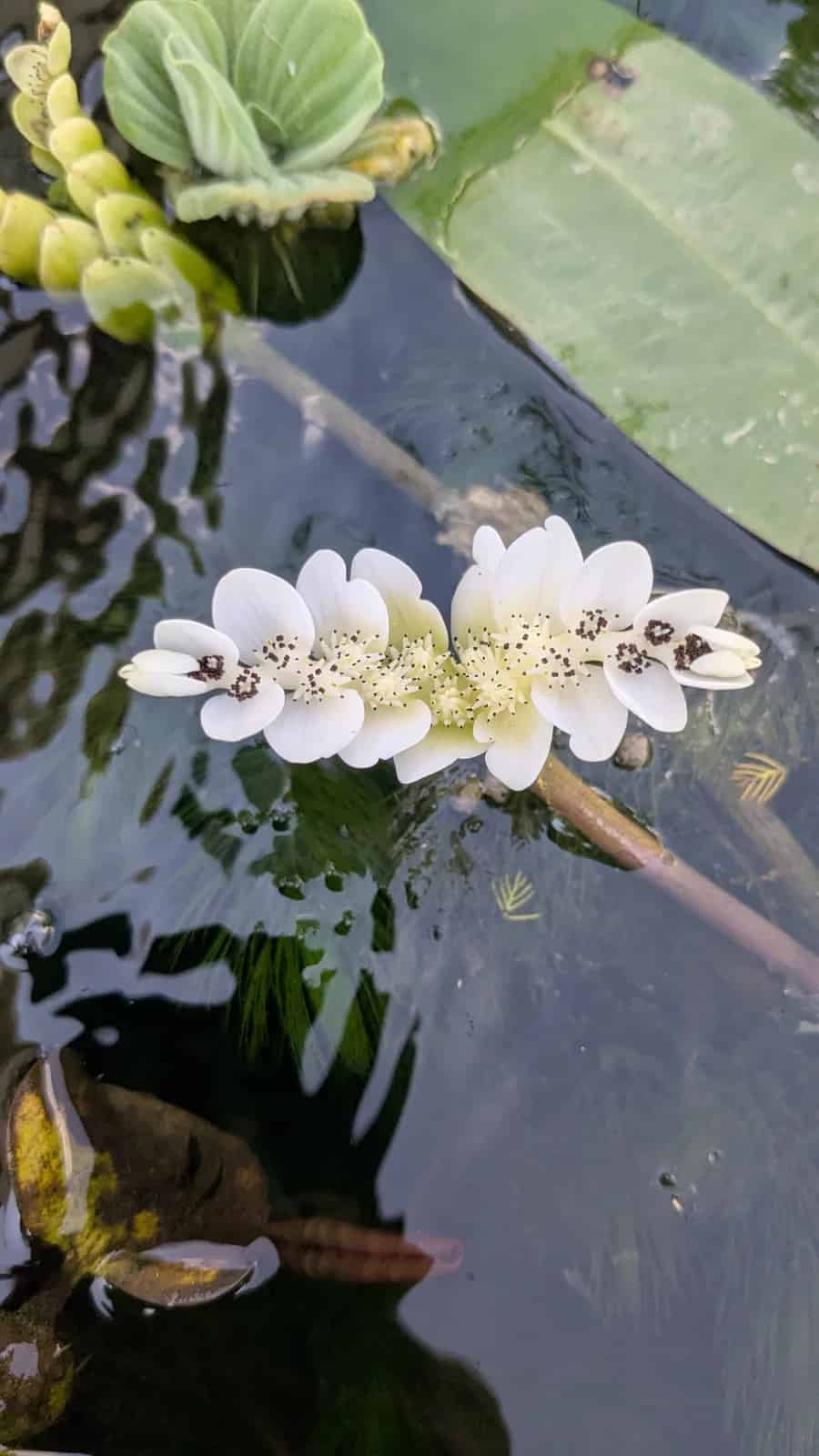 We'd Love Your Feedback - Hero background image