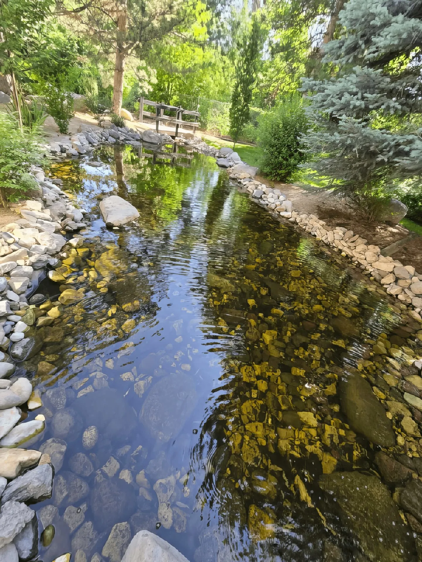 Utah Pond Maintenance: Spring Checklist