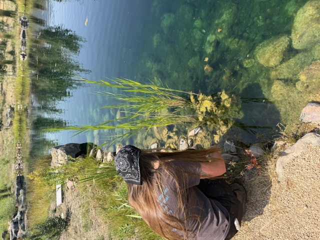 Team member removing phragmites along a pond shoreline