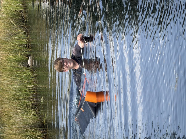 Smiling team member working in pond water with collection equipment