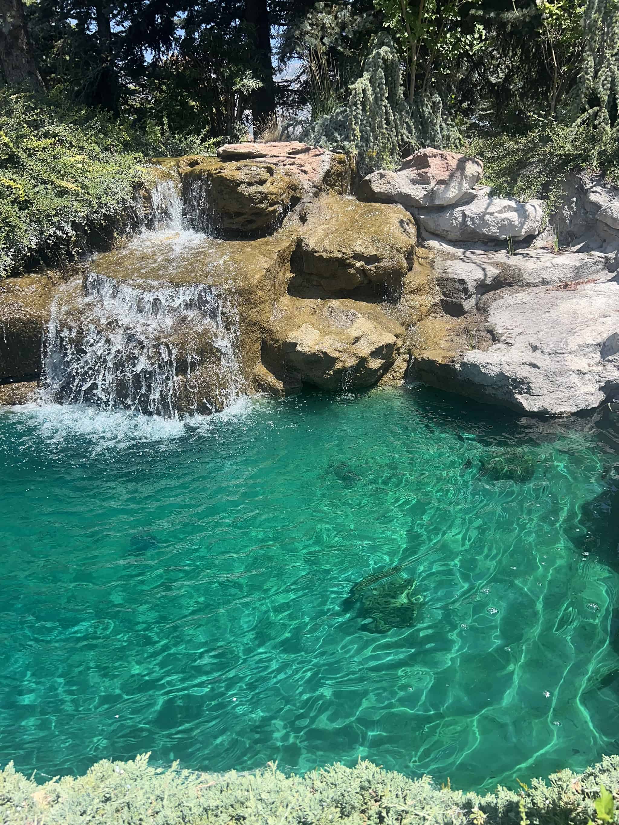 Water Treatments - Living Eco Systems - Hero background image