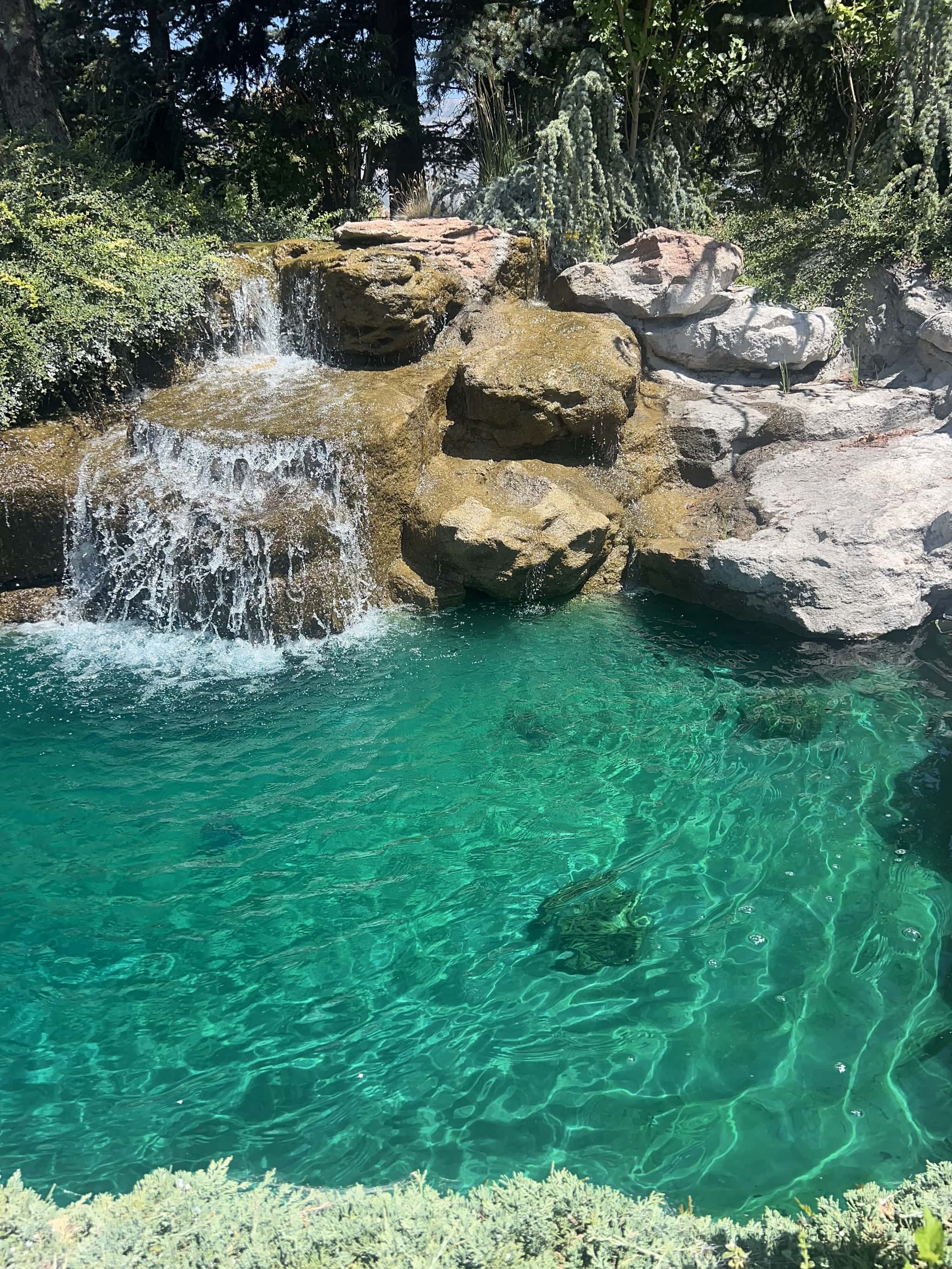 Water Treatments - Living Eco Systems - Hero background image