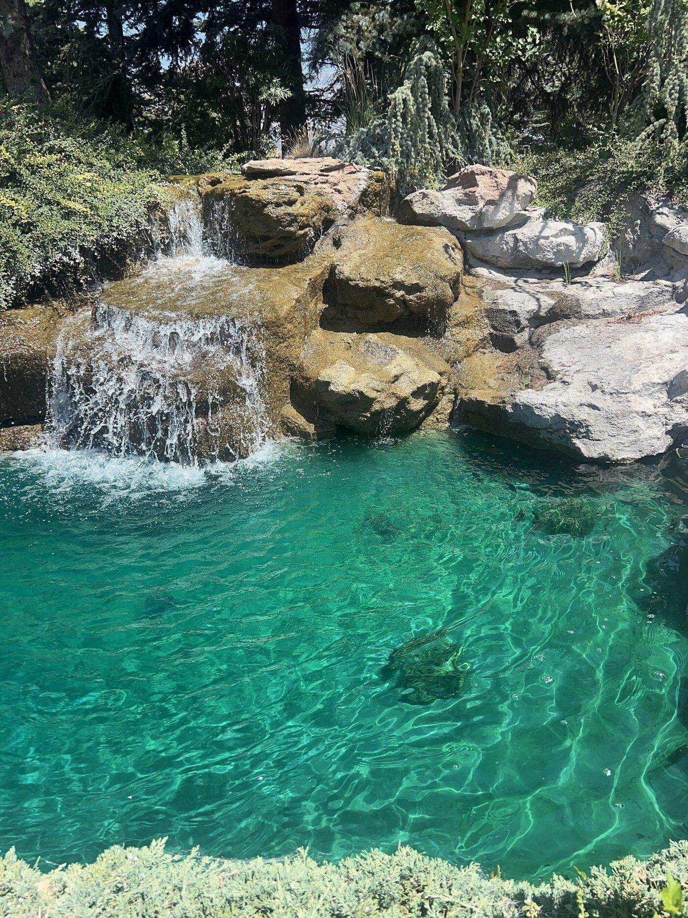 Clean pond with restored water clarity after professional pond cleaning