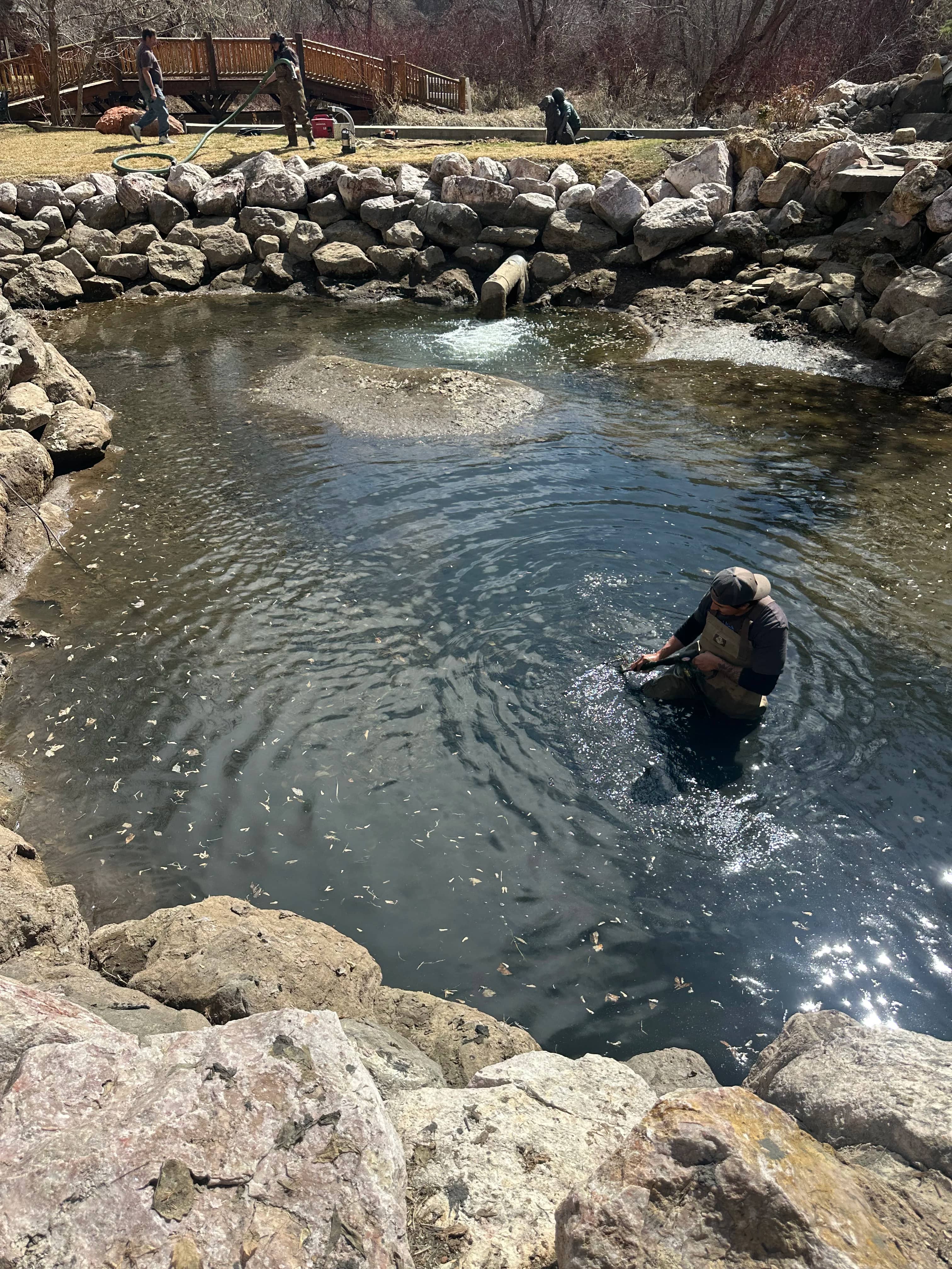 Pond vacuum service removing fine sediment and organic debris from pond bottom