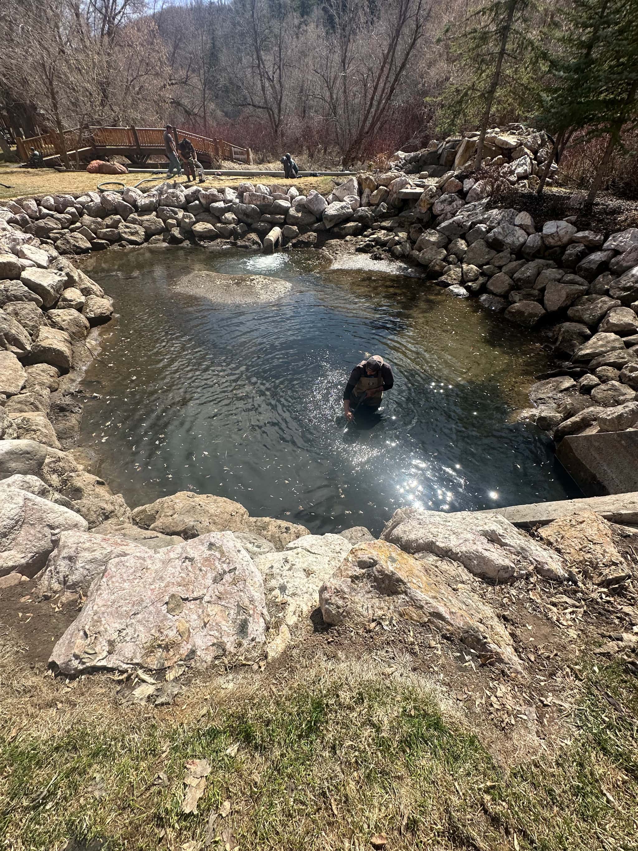 Step-by-Step: Deep Clean Your Pond Without Harming Fish (Utah-Friendly) - Maintenance & Care Pond care guide from Utah Water Gardens