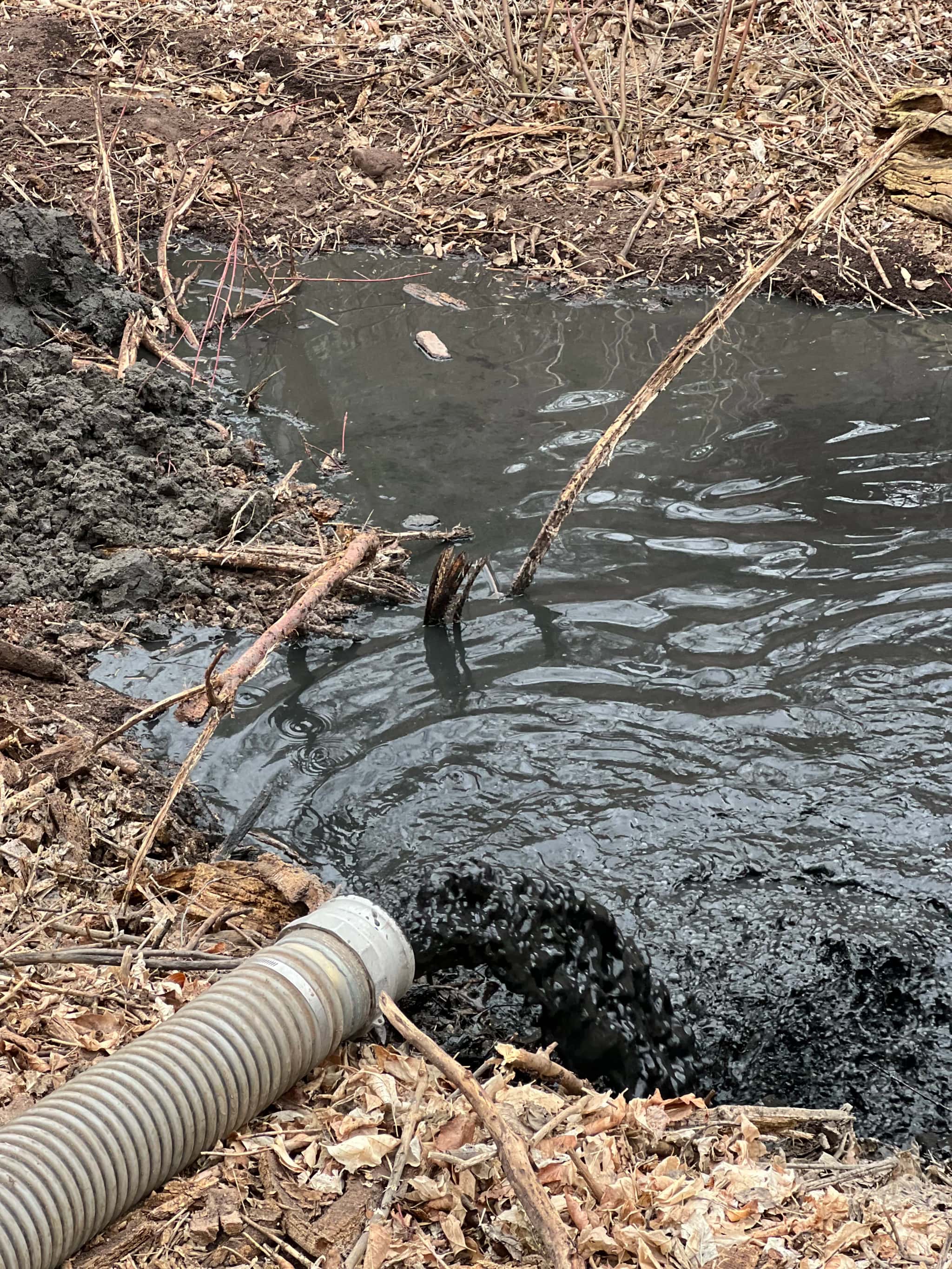 Technician performing pond vacuum service to remove bottom sediment