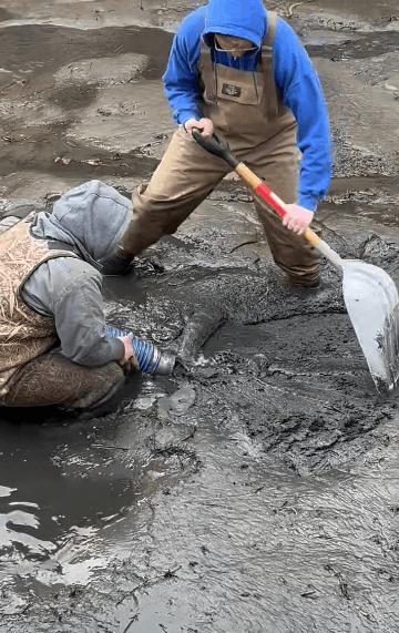 Pond vacuuming in progress showing sludge extraction and filtration