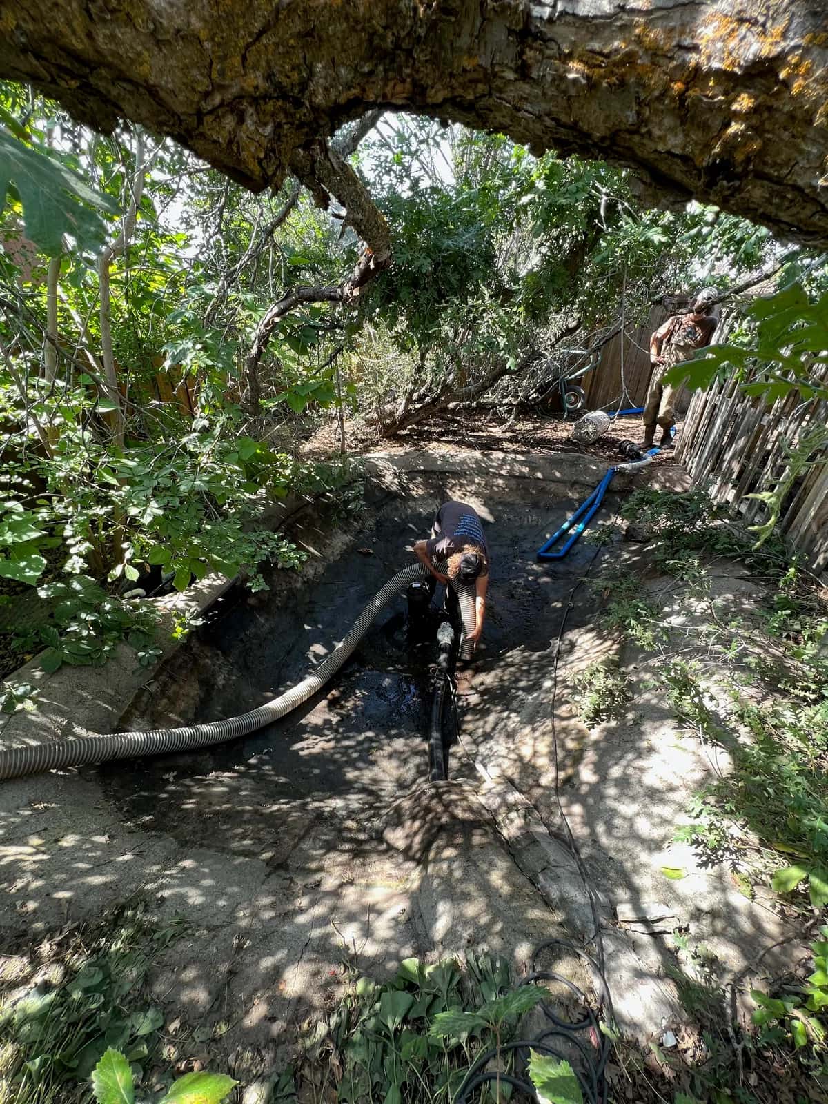 Pond Vacuum Service in Utah (When It Beats Draining)