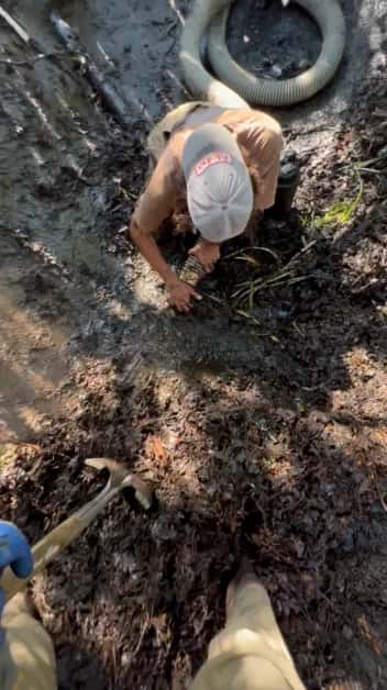 Pond vacuum service equipment setup and intake for bottom debris removal
