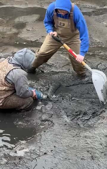 Pond vacuuming in progress showing sludge extraction and filtration