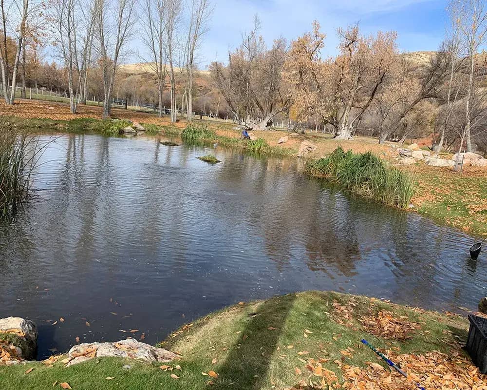 Pond Installation