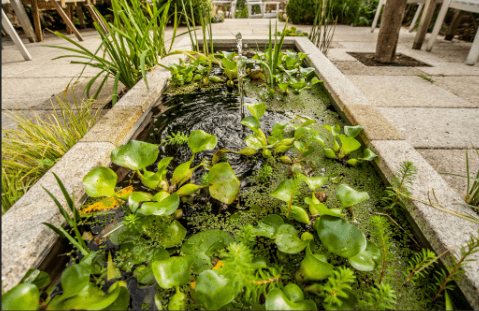 Residential backyard pond construction in Utah