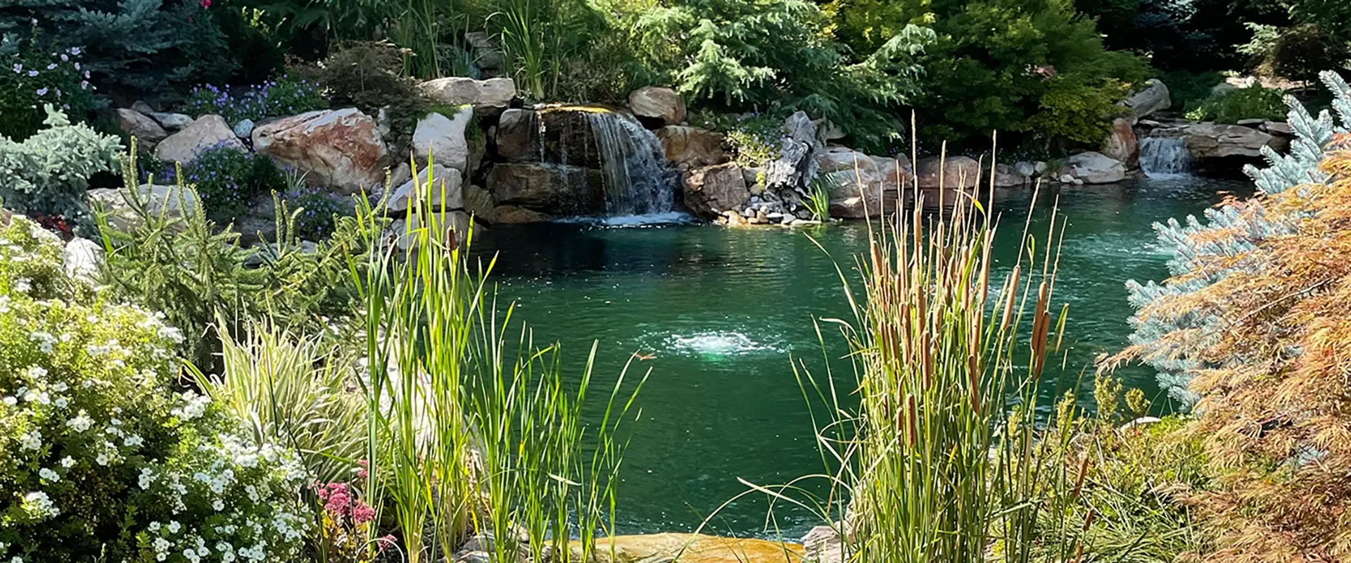 Pond filtration and circulation systems