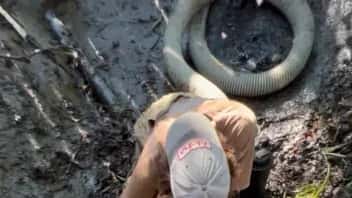 Pond repair service showing person working in muddy pond water with waders