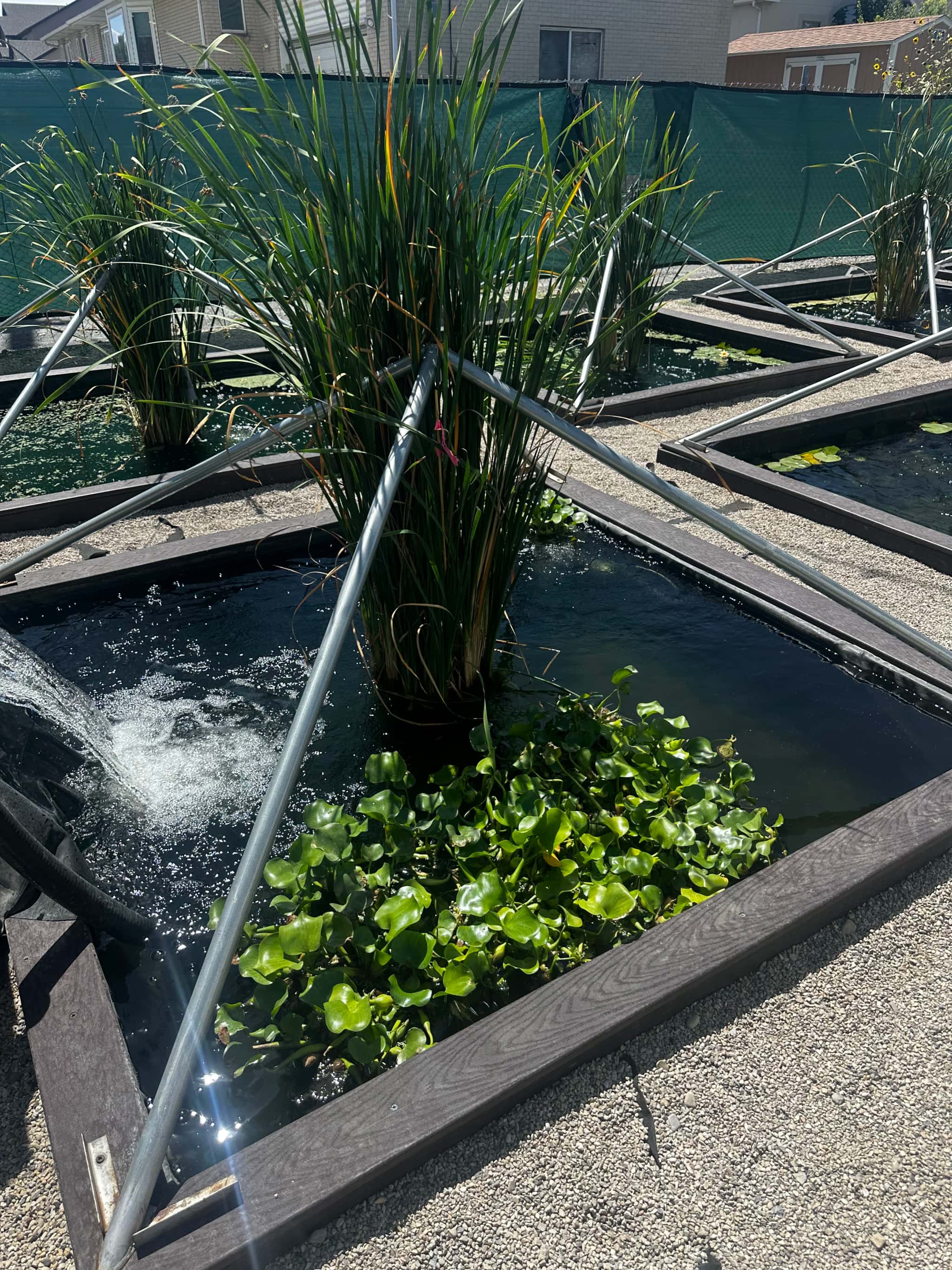 Expert Recommendations