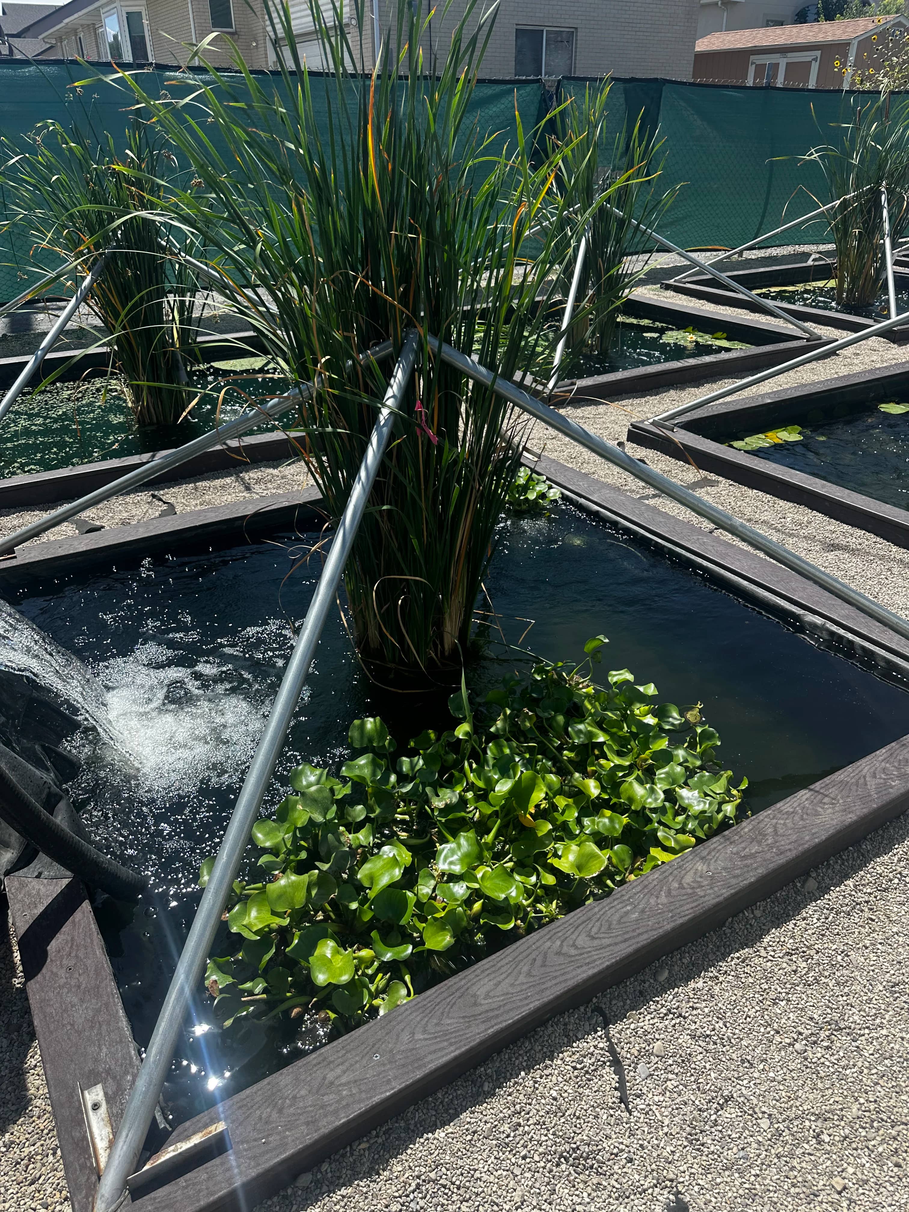 Expert Recommendations