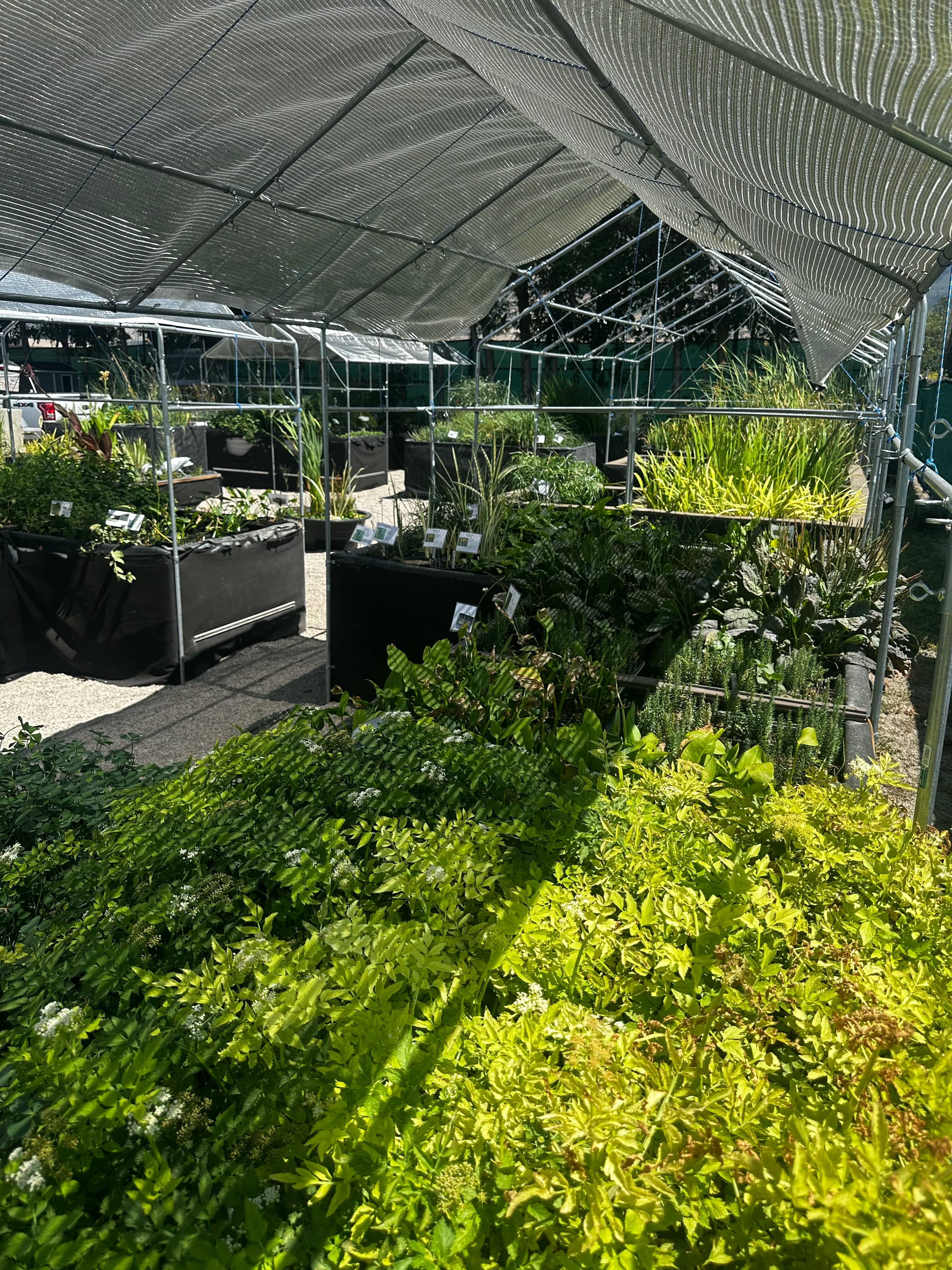 Utah Water Gardens retail store interior with aquatic plants, fish, and pond supplies