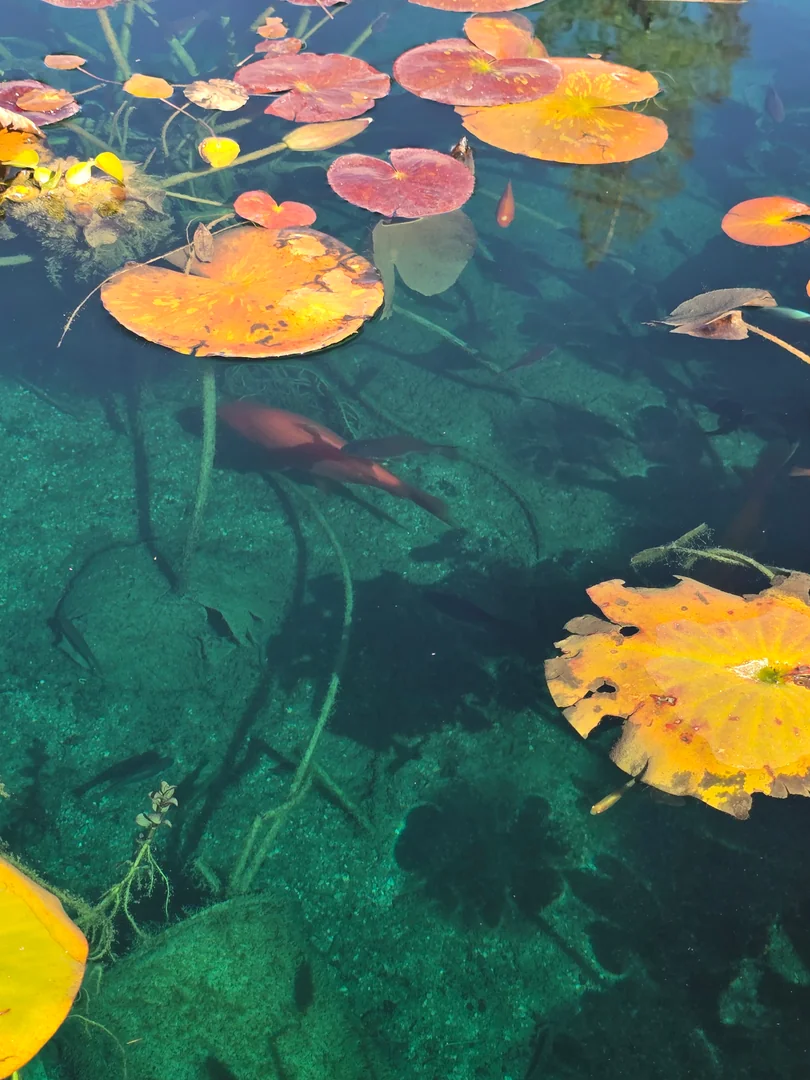 Pond technician performing maintenance in Utah