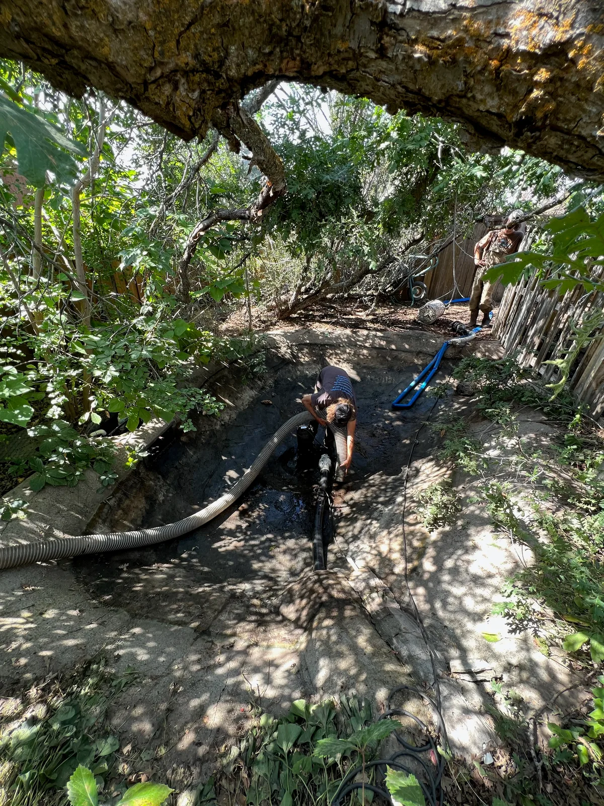 Seasonal Pond Cleaning Checklist (Utah): Spring + Fall Plan