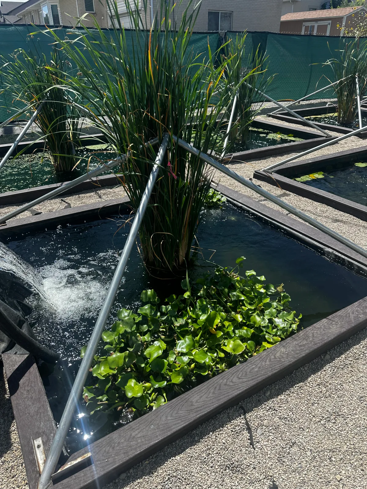 Pond aeration and water circulation system