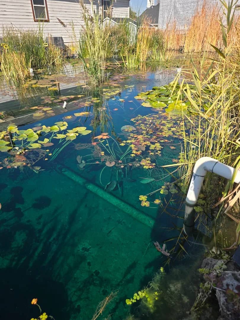 Pond filtration system installation Salt Lake Valley Utah