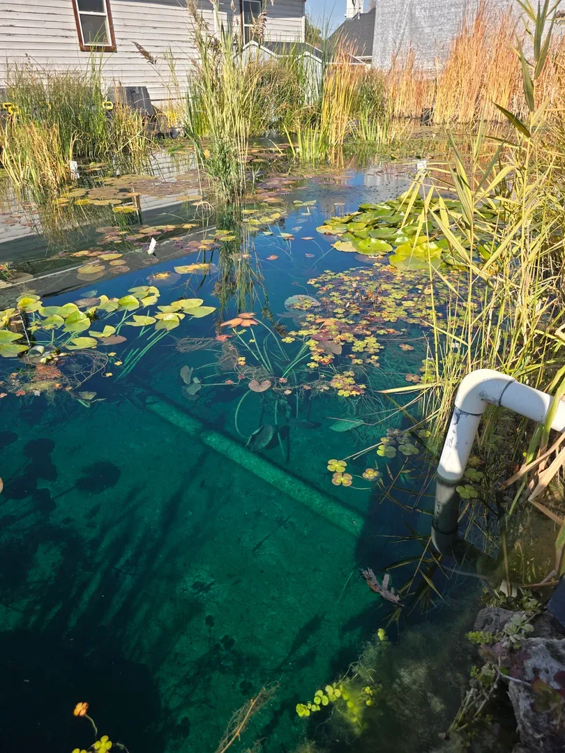 Pond filtration system installation Salt Lake Valley Utah