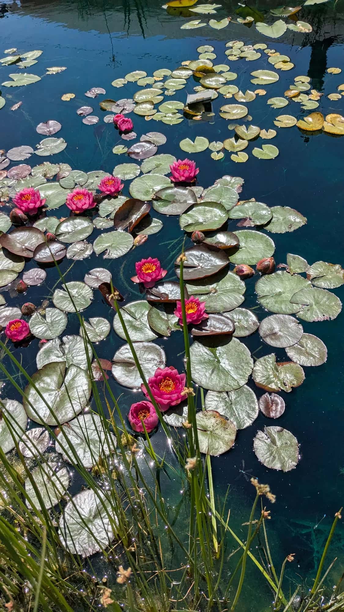 Pond Services in Ivins - Hero background image