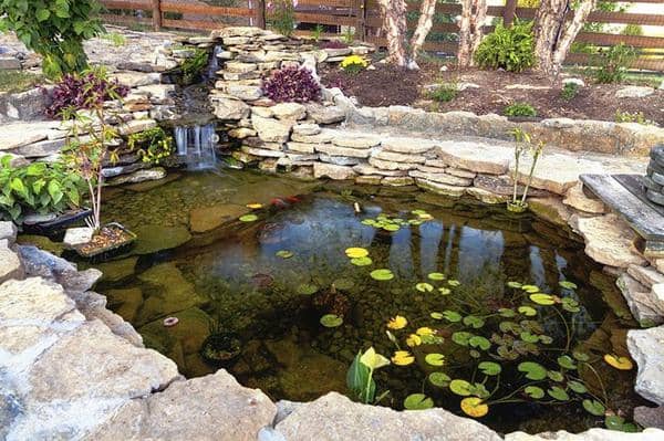 Utah Water Gardens pond with aquatic plants