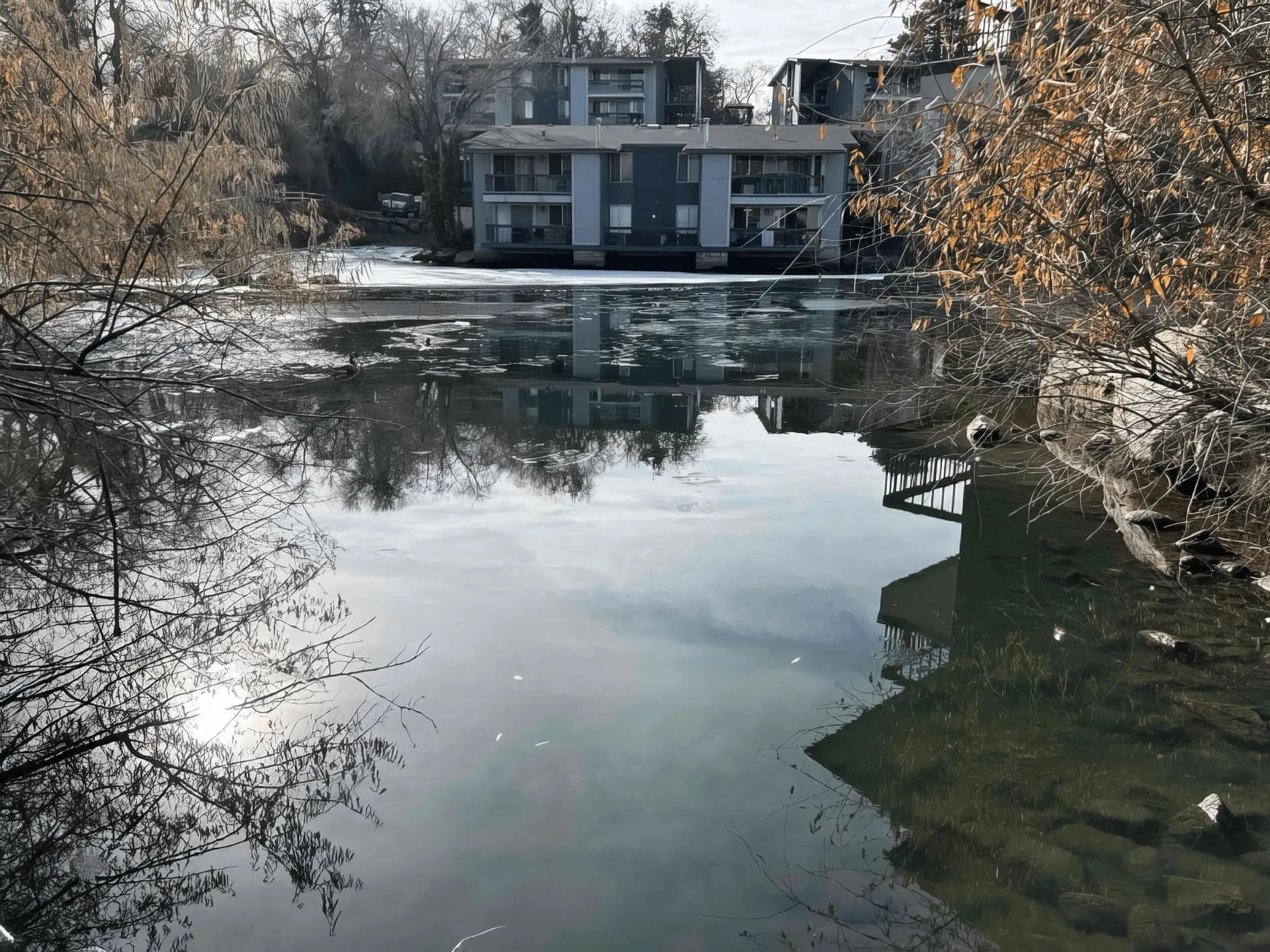 Commercial pond and HOA water feature