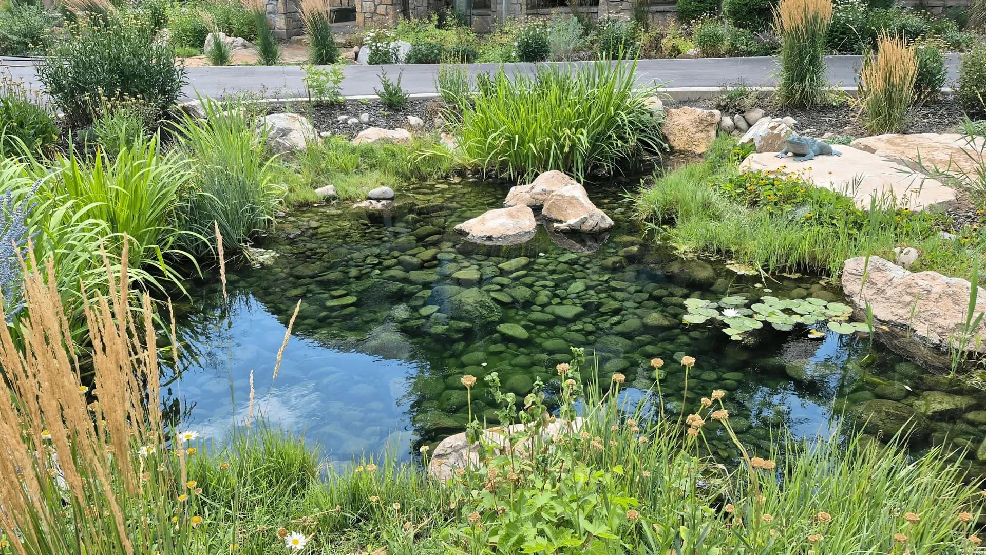 Pond and water garden with natural stone edging