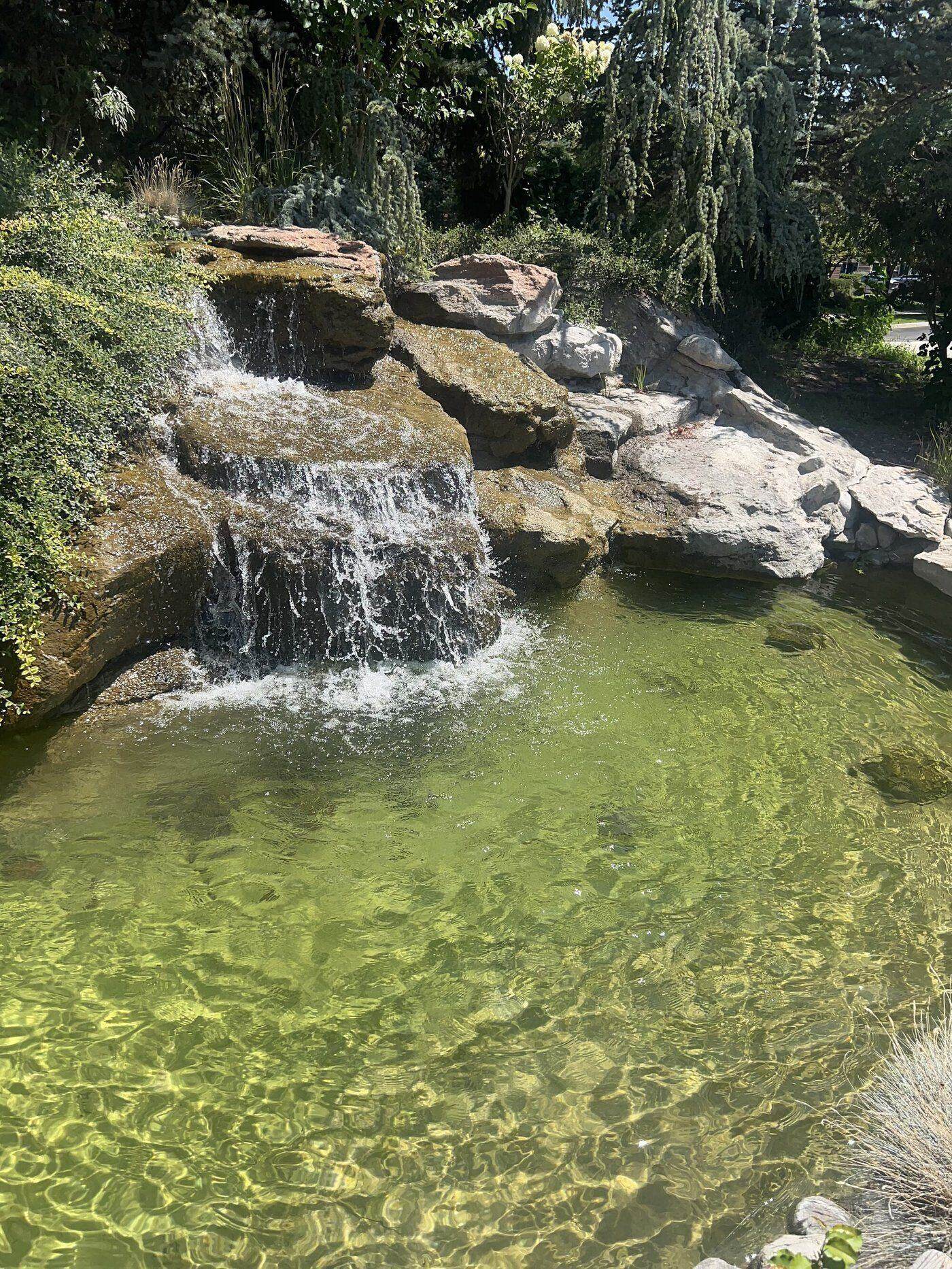 Water feature with clean lines