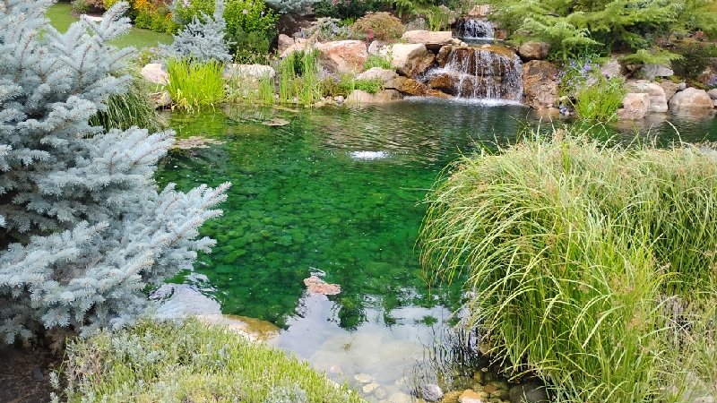 Maintenance technician trimming aquatic plants in Provo pond