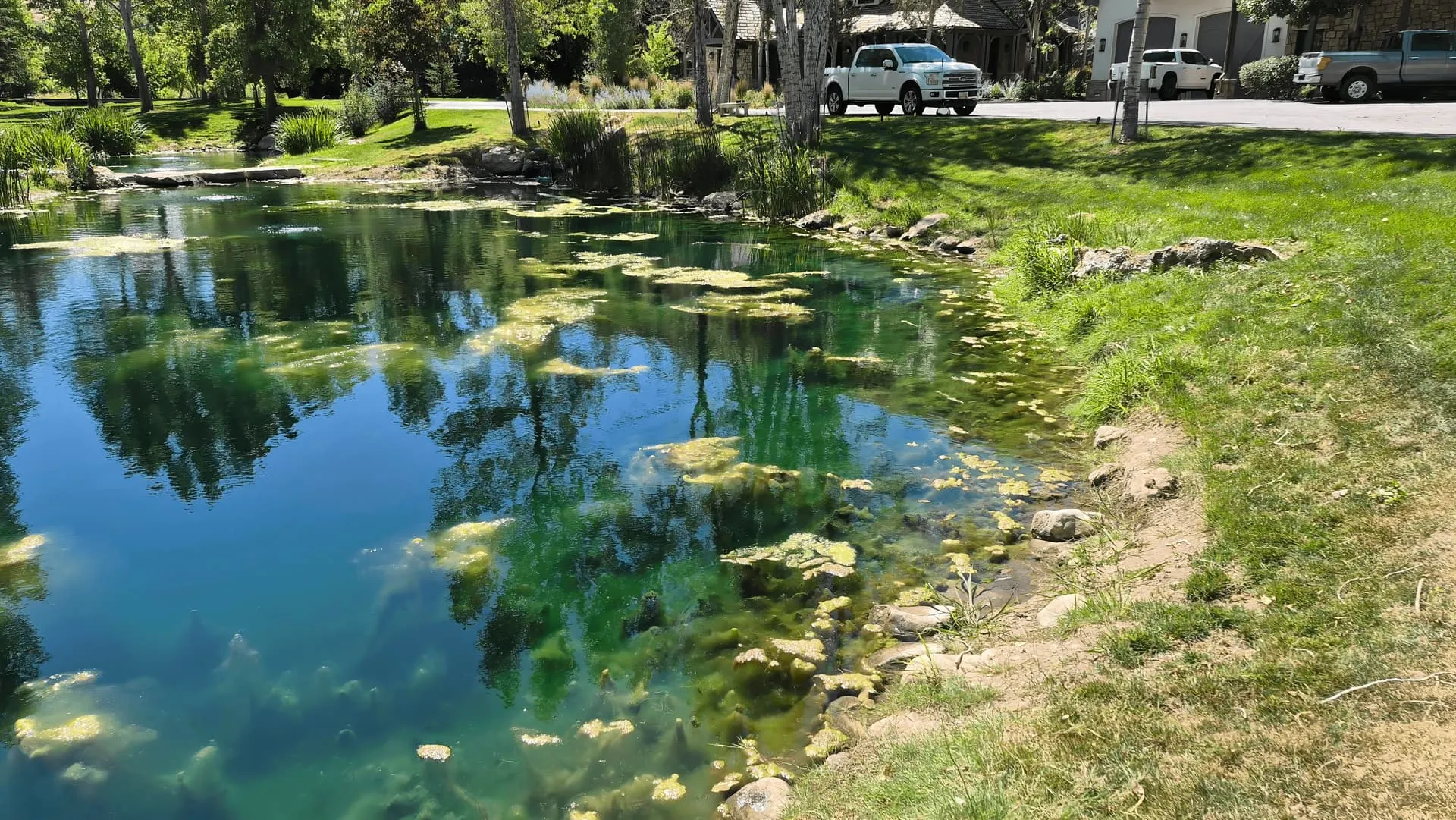 Provo backyard pond with footbridge and plantings