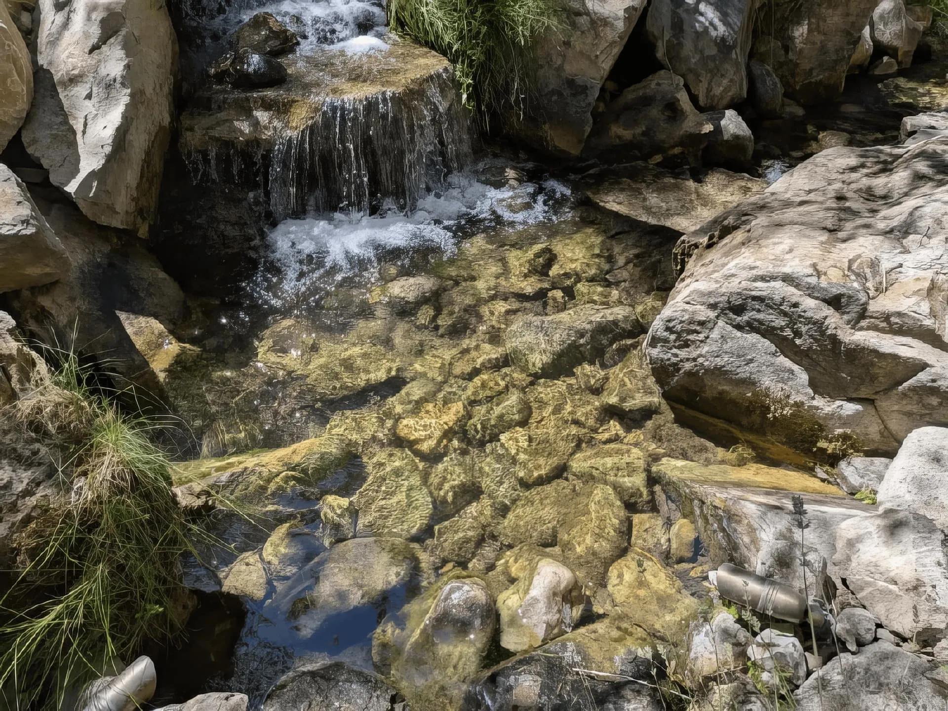 Park City stream feature weaving through native grasses